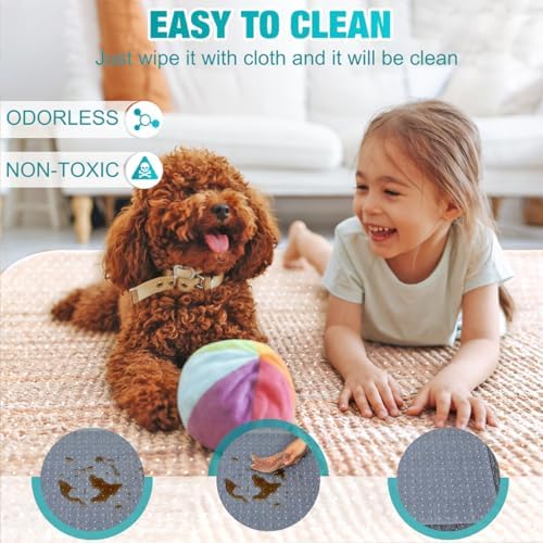 BesWin Office Chair Mat for Carpets, 2 Pack, Clear,Heavy Duty, 48" x 30"