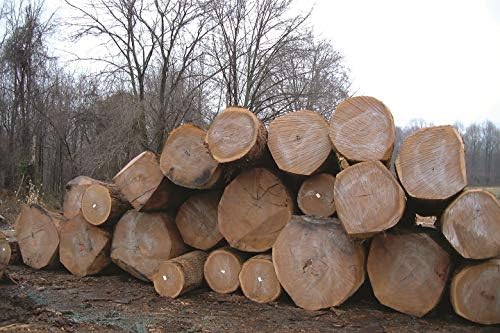 ANCHORSEAL Classic Log and Lumber End Sealer, Prevents Checking, 5 Gallon