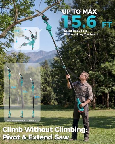 Pole Saws for Tree Trimming, 6" Brushless Mini Chainsaw with Extension Pole