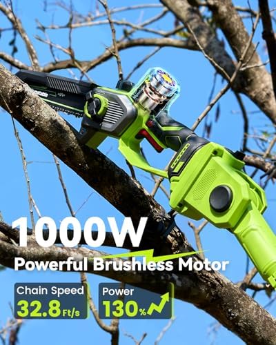 10 Inch Electric Pole Saws for Tree Trimming, 1000W Brushless Pole Saw and Mini Chainsaw 2 in 1, 2*4000mAh Battery, Lightweight Tree Saw with Extension Pole, 16Ft Max Reach Tree Trimmer Branch Cutter