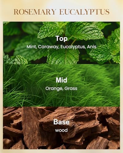 M&SENSE Rosemary Eucalyptus Soy Candle, 14.1oz, Summer Refresh Scent