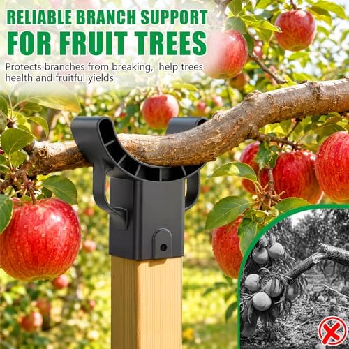 KJX 8 Pack Upgraded Tree Crutches, Fruit Tree Branch Supports