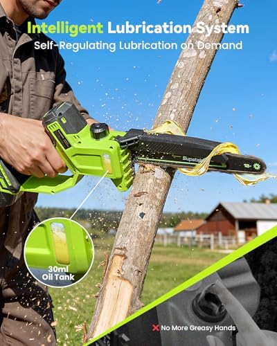 10 Inch Electric Pole Saws for Tree Trimming, 1000W Brushless Pole Saw and Mini Chainsaw 2 in 1, 2*4000mAh Battery, Lightweight Tree Saw with Extension Pole, 16Ft Max Reach Tree Trimmer Branch Cutter