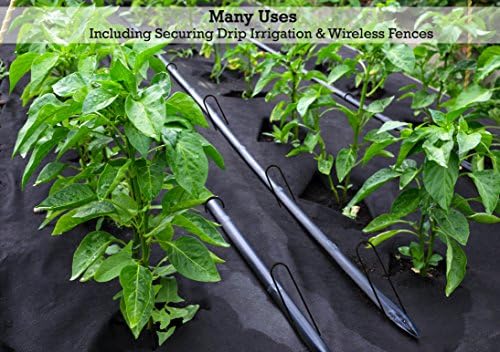 Sandbaggy 12-inch 8-Gauge Round Top Landscape Staples~SOD Garden Stakes Weed Barrier Pins (25 Staples)