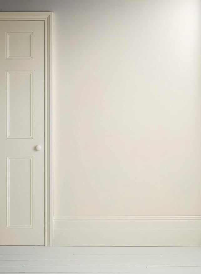 Annie Sloan Satin Paint (Old White, 25 Fl Oz/750 mL). Soft sheen for interior wood and metal. Self-leveling, all-in-one paint with no wax or lacquer required.