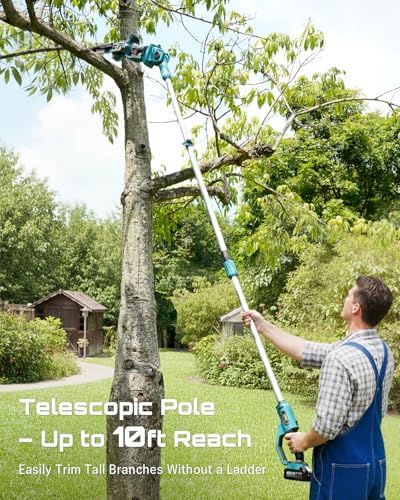 SEESII 10-Inch 2-in-1 Cordless Pole Saw & Mini Chainsaw,2 x 4.0Ah Batteries