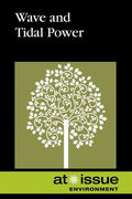 Wave and Tidal Power - Paperback