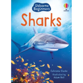 Sharks - Paperback