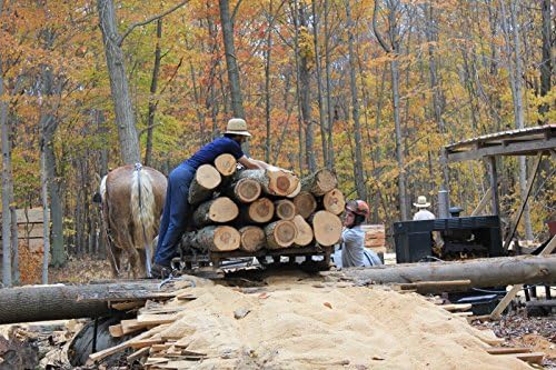 1 Red Oak Wood Board @ 1/4 inch thick x 3-4 Inches Wide x 12 Inches Long. Kiln Dry Lumber