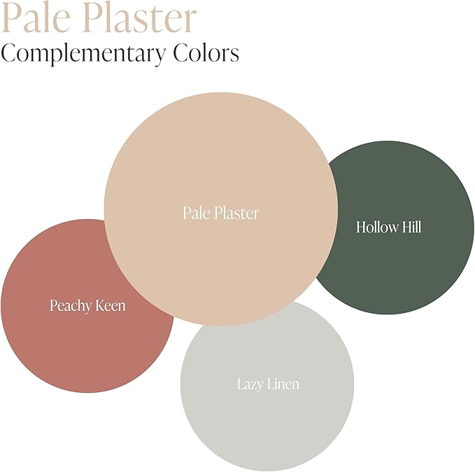 Country Chic All-in-One Chalk Paint for Furniture, Cabinets, Home Decor, Eco-Friendly, Matte Finish, Built-In Primer & Top Coat for Wood, Metal - Pale Plaster (Sand) sample (4oz)