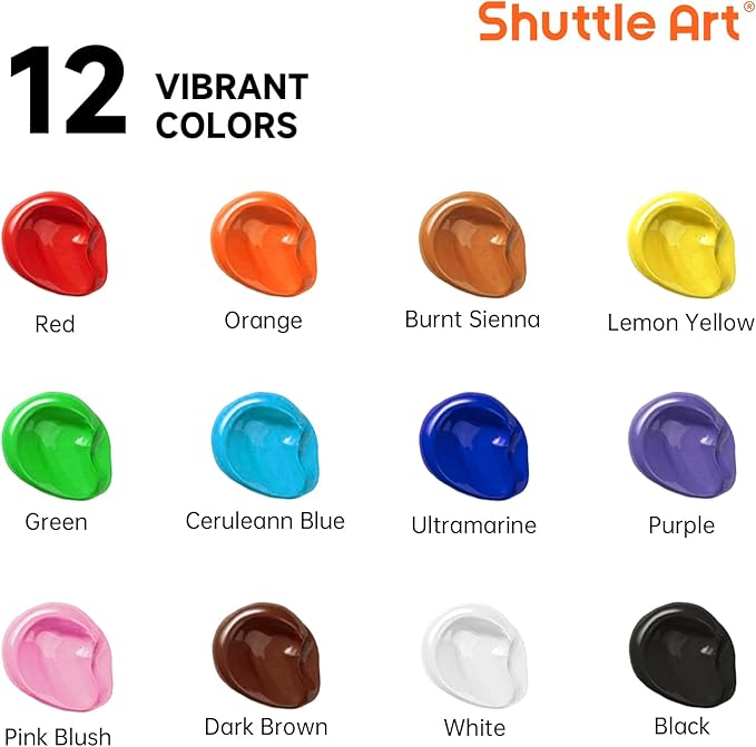 Shuttle Art Outdoor Acrylic Paint Set, 12 Colors Waterproof Paint, 8.45oz/250ml Large Bottles, Rich Pigmented Bulk Painting Supplies for Artists, Beginners on Rocks, Wood, Wall, Crafts, Garden Statues