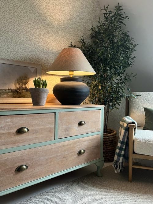 Annie Sloan Chalk Paint® (Coolabah Green, 500 ml/16.9 Fl Oz) a unique decorative paint for furniture, cabinets and home décor with no sanding or priming