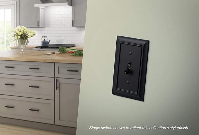Franklin Brass Architectural (1-Pack) Single Switch/Duplex Combo Matte Black 2-Gang Combination Wall Plate Electrical Outlet Covers 64213