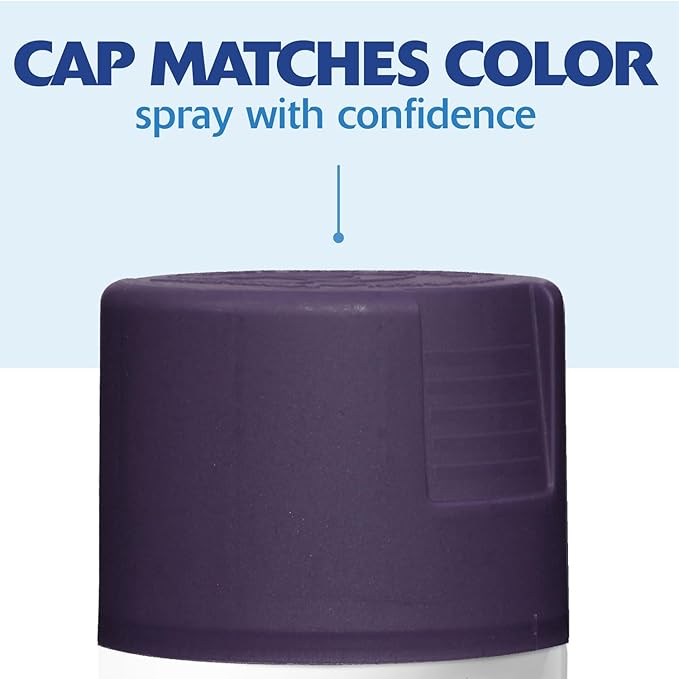 Rust-Oleum 393569 Painter's Touch 2X Ultra Cover Spray Paint, 12 oz, Satin Deep Purple