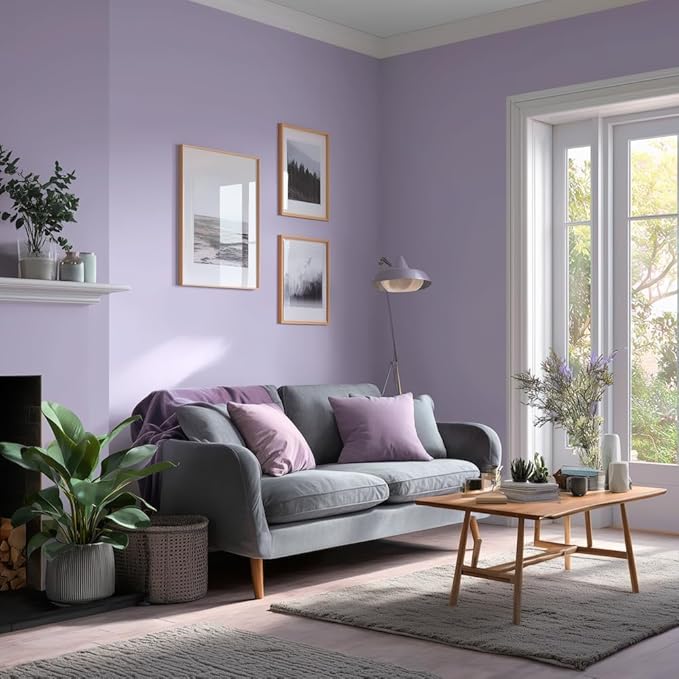 EVOLVE Paint & Primer: Environment-friendly, Low Sheen with One-coat Coverage for Interior & Exterior surfaces (Soft Violet, 5-Gallon)