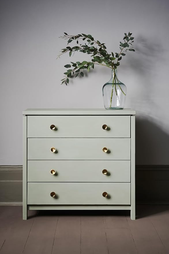 Annie Sloan Chalk Paint® (Coolabah Green, 500 ml/16.9 Fl Oz) a unique decorative paint for furniture, cabinets and home décor with no sanding or priming