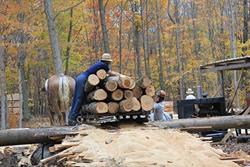 1/8" x 8" x 16" Black Cherry Wood Lumber Thin Boards (3 Pack)