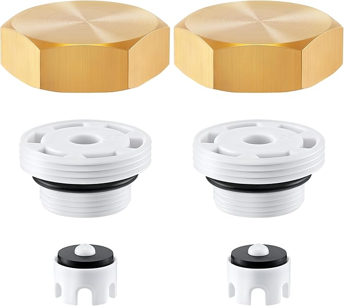 2 Pack Anti Siphon Valve Repair Kit, Vacuum Breaker Fix Set Compatible with Legend Valve LEG-108-903 T550 T550A, Frost Free Faucet Repair Kit for Outside Faucet Fix
