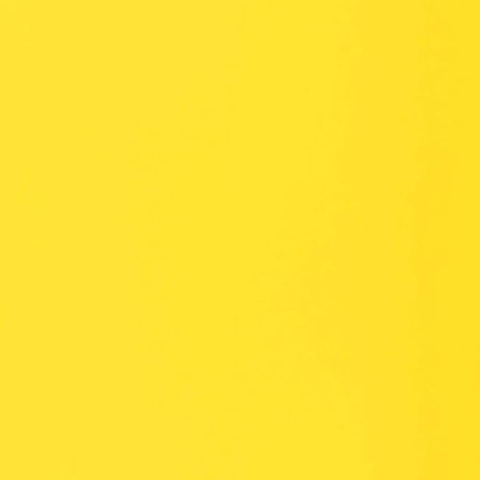 Liquitex BASICS Acrylic Paint, 118ml (4-oz) Tube, Fluorescent Yellow