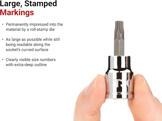 TEKTON Torx Bit Socket Set, 12-Piece | SHB91103 | 3/8 Inch Drive, (T10 - T60), Socket Rail