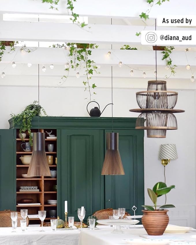 Annie Sloan Chalk Paint® (Amsterdam Green, 500 ml/16.9 Fl Oz) a unique decorative paint for furniture, cabinets and home décor with no sanding or priming