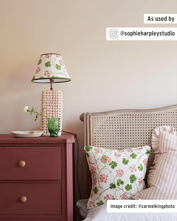 Annie Sloan Chalk Paint® (Primer Red, 1 Litre/33.8 Fl Oz) a unique decorative paint for furniture, cabinets and home décor with no sanding or priming