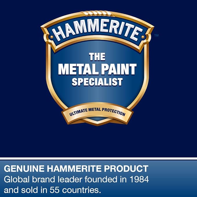Hammerite Rust Remover Gel Blister. Non Drip Rust Remover for Metal, Rust Converter - Non Damaging to Metal Paint, Suitable for Interior and Exterior - 100ml, Packaging May Vary