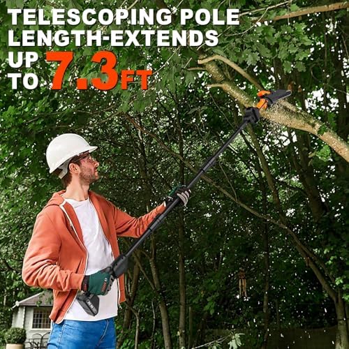 2-IN-1 Pole Saw & 8" Mini Chainsaw Battery Powered with 2 x 21V Batteries