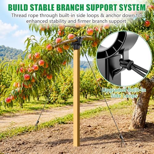 KJX 8 Pack Upgraded Tree Crutches, Fruit Tree Branch Supports