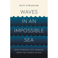 Waves in an Impossible Sea: How Everyday Life Emerges from the Cosmic Ocean - Hardcover
