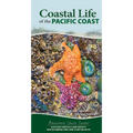 Coastal Life of the Pacific Coast: Discover Tidepools and Identify Beachcombing Finds and Iconic Wildlife - Spiral