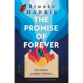 The Promise of Forever: A completely heartbreaking Irish novel - Paperback