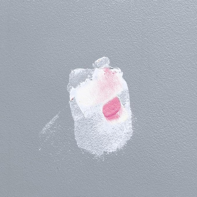 DAP DryDex Dry Time Indicator Spackling, Pink/White, 8 Oz (7079812328)