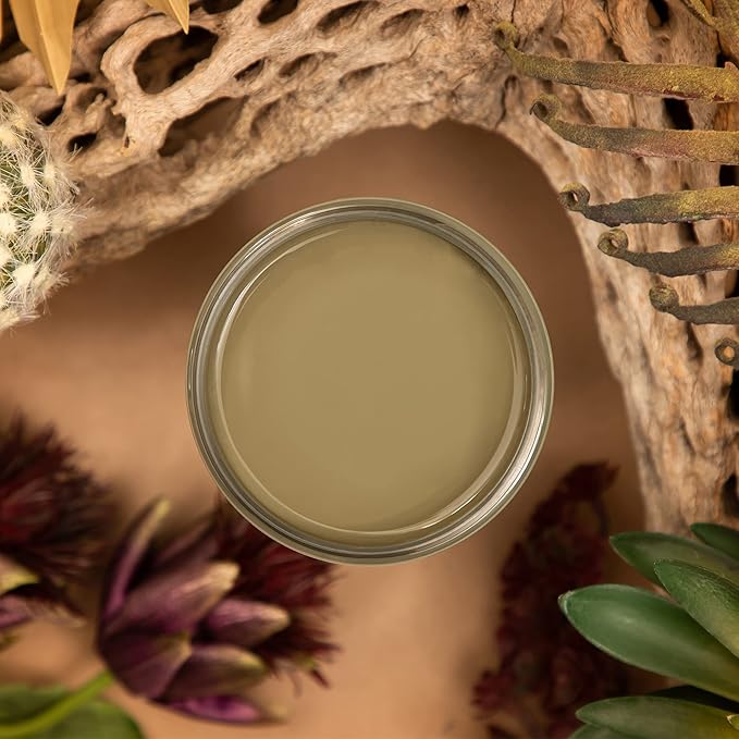 Dixie Belle Silk All-in-One Mineral Paint - Cactus (4oz) - Muted Green Water Based Built-In Primer + Topcoat for Wood + Metal - Durable Furniture Paint - Low Reflective Finish