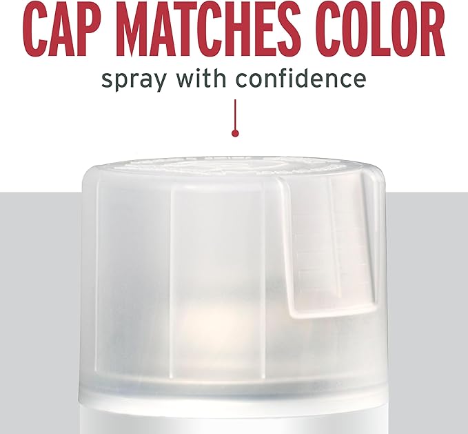 Rust-Oleum 285093 Stops Rust Spray Paint, 12 oz, Matte Clear