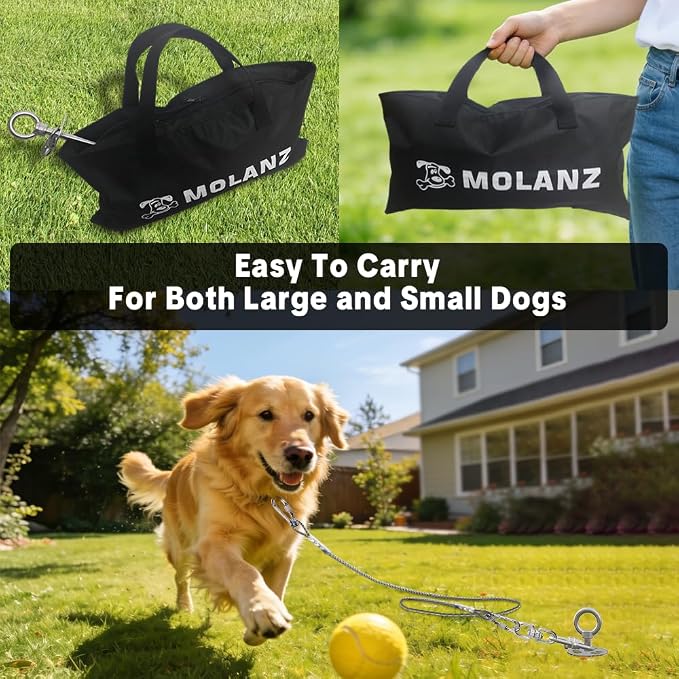Heavy Duty Dog Tie Out Stake with Shock Absorbing Spring, 20ft Cable, 304 Stainless Steel Anchor, 2x360° No Tangle Swivel for Large Medium Small Dogs, Yard & Camping (Stake/20ft Cable/250lbs)
