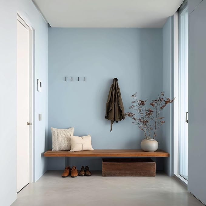 EVOLVE Paint & Primer: Environment-friendly, Low Sheen with One-coat Coverage for Interior & Exterior surfaces (Sky Blue, 1-Gallon)