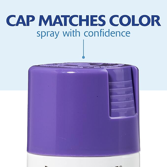 Rust-Oleum 334033 Painter's Touch 2X Ultra Cover Spray Paint, 12 oz, Gloss Grape (Pack of 4)
