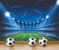 Jdayda Soccer Stadium Wallpaper Mural Large Art Wall Background | 170"x120" Painting for Soccer Hall Bedroom Living Room