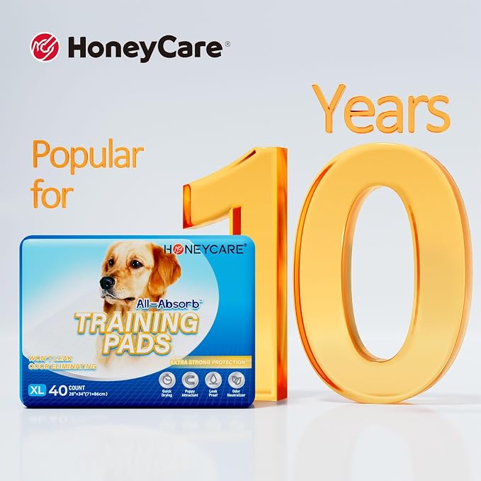 HONEY CARE All-Absorb, X-Large 28" x 34", 40 Count, Dog and Puppy Training Pads, Ultra Absorbent and Odor Eliminating, Leak-Proof 5-Layer Potty Training Pads with Quick-Dry Surface, Blue