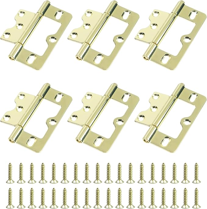 Wealrit 6 PCS Self Closing Door Hinges Gold Heavy Duty Gate Hinge Non-Mortise Hidden Hinges Bifold Door Closer Exterior Screen Hardware with Screw for Home, Corner Cabinet Doors, Wood