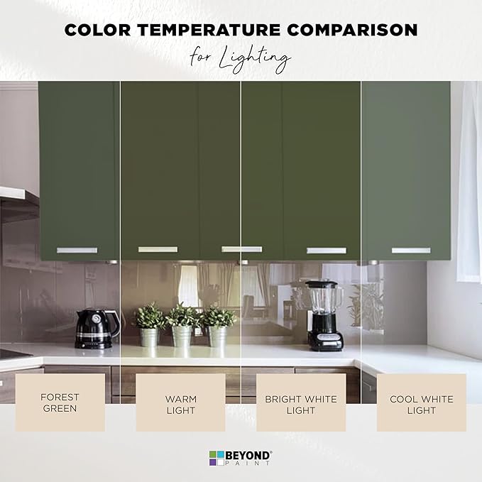 Beyond Paint All-in-One Refinishing Paint, No Sanding, Matte Finish for Cabinets, Countertops, Furniture and Doors, 1 Pint, Forest Green