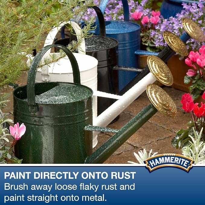 Hammerite Rust Remover Gel Blister. Non Drip Rust Remover for Metal, Rust Converter - Non Damaging to Metal Paint, Suitable for Interior and Exterior - 100ml, Packaging May Vary
