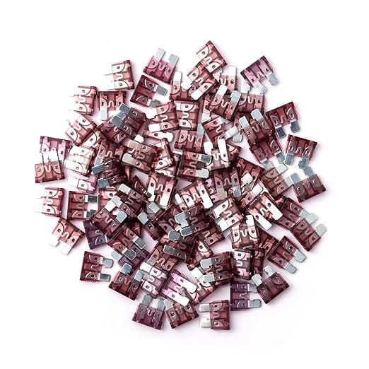 100Pcs 40 Amp Fuses Stanbdard Fuse, 40A Car Fuse Blade for Automotive, Truck, Boat, Motorcycle