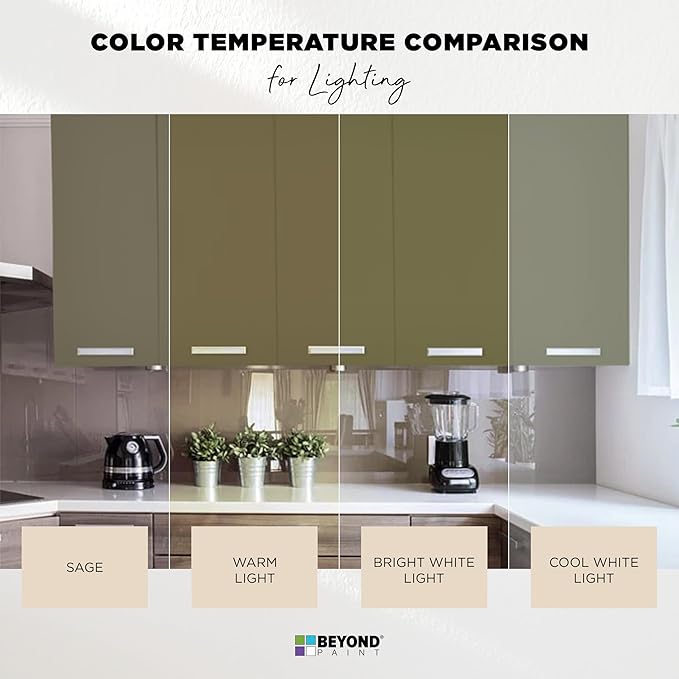 Beyond Paint All-in-One Refinishing Paint, No Sanding, Matte Finish for Cabinets, Countertops, Furniture and Doors, 1 Pint, Sage