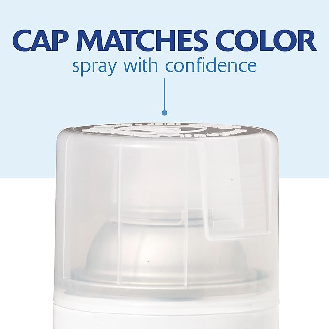 Rust-Oleum 334029-2PK Painter's Touch 2X Ultra Cover Spray Paint, 12 oz, Gloss Clear, 2 Pack
