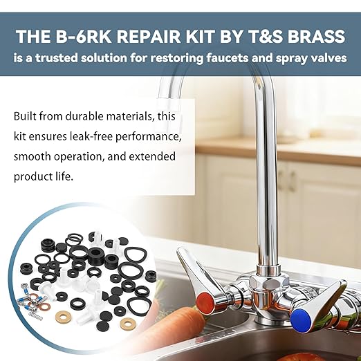 B-6RK Repair Kit for T&S Brass Faucet Cartridges & Spray Valves