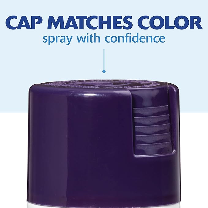 Rust-Oleum 249097 Painter's Touch 2X Ultra Cover Spray Paint, 12 oz, Gloss Purple