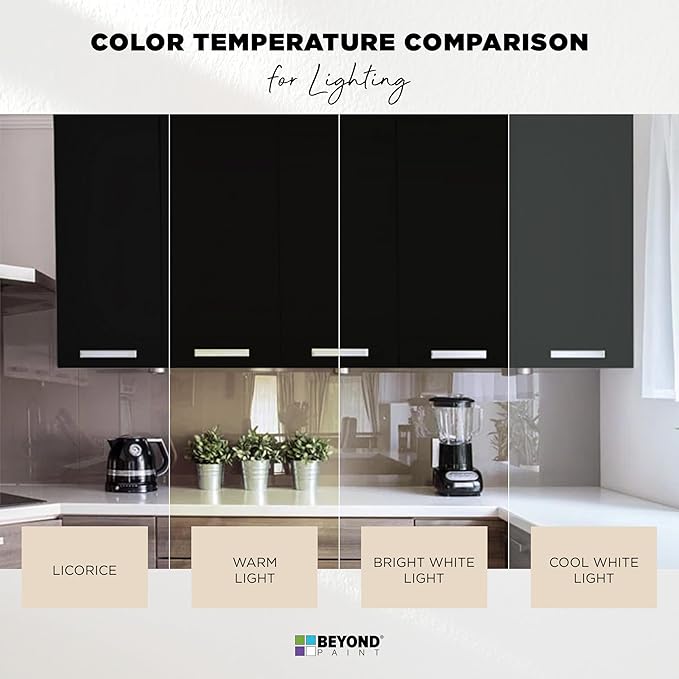 Beyond Paint Counter Top Paint - Pint - Color: Charcoal - No Stripping No Sanding No Priming