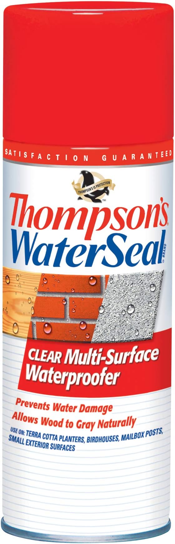 Thompson’s WaterSeal Multi-Surface Waterproofer Stain, Clear, 12 oz Aerosol Can